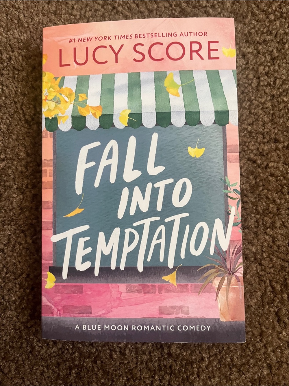 Lucy Score "Fall Into Temptation" Paperback - Pink & Teal Cover